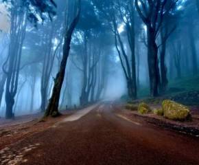 Португалия, лес, дорога, осень, склон portugal, forest, road