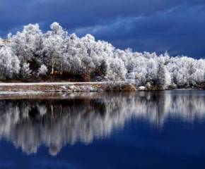 картинка природы, зима, отражение, небо, Деревья, река, иний, обои