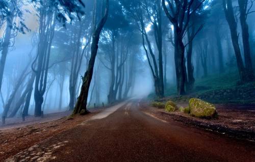 Португалия, лес, дорога, осень, склон portugal, forest, road