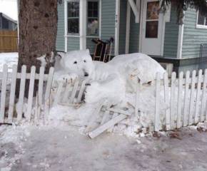 фото юмор, обои, домик, снег, забор, лежит, картинка