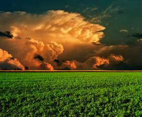 картинка природы, обои, небо, облака, поле, горизонт, пейзаж