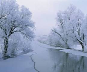 природа, водоем, зима, деревья, снег, пруд, обои, фото, речка